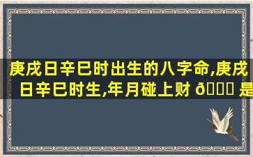 庚戌日辛巳时出生的八字命,庚戌日辛巳时生,年月碰上财 🐟 是什么意思